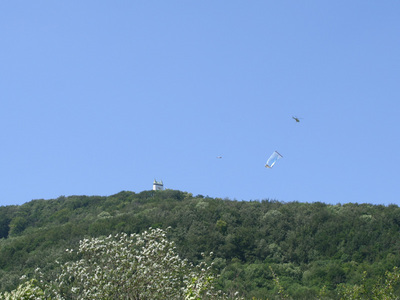 IMG_1148.jpg
